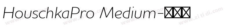 HouschkaPro Medium字体转换 HouschkaPro Medium字体转换